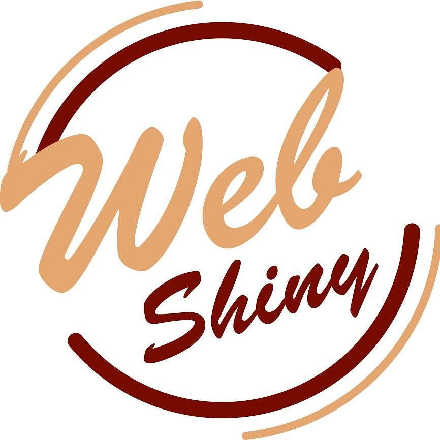 Webshiny - Digital Marketing Agency in Amritsar